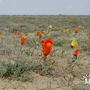 ���� �����, ������ �����, 57 ��� - ��������� 10 ��� 2012 � ������ �������