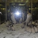 ���� ���, ��������, 30 ��� - ��������� 11 ���� 2013 � ������ ���� ����������