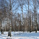 07.03.2011     ?!!! )))