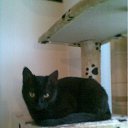 ���� Natalya, ��������, 56 ��� - ��������� 11 ������� 2011 � ������ ����� ����, ���� � &amp;�