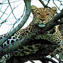 ���� �����, �������������, 28 ��� - ��������� 12 ������ 2010