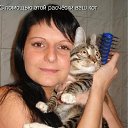 ���� ����, ������, 52 ���� - ��������� 18 ������� 2009 � ������ �������� �����