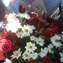 ���� ����, �����, 38 ��� - ��������� 7 ������� 2010 � ������ ��������� ��� ���