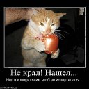 ���� (�)(�)(�)(�)(�)(�), ������-��-���� - ��������� 1 ������� 2013 � ������ �������