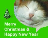 ���� �����, ������������, 38 ��� - ��������� 4 ������� 2012 � ������ ���� ��������