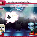 ���� �������, ������-��-����, 34 ���� - ��������� 21 ������ 2010 � ������ �PetLove�