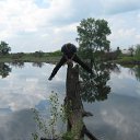 ���� ***���������***, ���������, 41 ��� - ��������� 31 ������� 2012