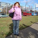 ���� �����, �������-�����, 49 ��� - ��������� 18 ������ 2013