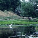 ���� ����������, ���������, 65 ��� - ��������� 17 ������ 2011 � ������ ��� ������.�