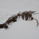 opus �23 �� ������� �������� � �����-�����, ������ �� �������!�