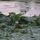 ���� ������, �����������, 52 ���� - ��������� 28 ������ 2012