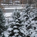 ���� ������� -------, ����������� - ��������� 1 ������� 2011 � ������ �߻