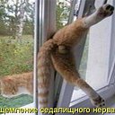 ���� �����, ����������, 60 ��� - ��������� 5 ������� 2010 � ������ �������