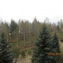 ���� ���, ������, 30 ��� - ��������� 6 ������� 2010 � ������ ��������