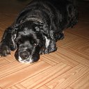 ���� ������, ���������, 56 ��� - ��������� 11 ������� 2012 � ������ ���� ����������