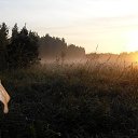 ���� ���, ������, 59 ��� - ��������� 29 ����� 2013