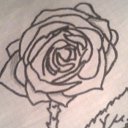 ���� ����, ������������, 37 ��� - ��������� 31 ������� 2010 � ������ �������