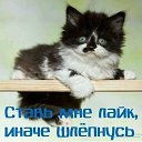 ���� �����, ������ ���, 40 ��� - ��������� 13 ��� 2013 � ������ ������ ��������