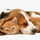 ���� �������, ���������, 42 ���� - ��������� 25 ����� 2012 � ������ �������������