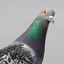 ���� ����� �, ����, 26 ��� - ��������� 16 ����� 2012 � ������ ���� ����������