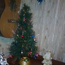 ���� ������ ��������, ������, 62 ���� - ��������� 6 ���� 2012 � ������ ���� ����������