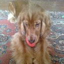 ���� ����, �����������, 61 ��� - ��������� 19 ������� 2011 � ������ ��� � ��������