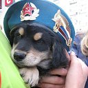 ���� ������, �������� - ��������� 14 ������ 2013 � ������ ���� ����������