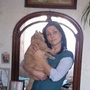 ���� �������, ������ �������� - ��������� 7 ��� 2012