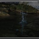   (Paolo Genua),  -  14  2009      