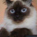 ���� ����, �������� - ��������� 22 �������� 2012 � ������ ����� �������)))�