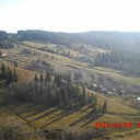 ���� ���������, ��������, 41 ��� - ��������� 1 ����� 2012 � ������ ���� ����������