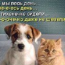 ���� Ademir, ������������, 64 ���� - ��������� 23 ������� 2012 � ������ ���������� ������