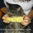  Gnom, , 38  -  28  2010      ;-)