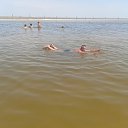 ���� ��������, �����, 52 ���� - ��������� 30 ��� 2013 � ������ ���� ����������