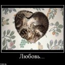 ���� ������, �����������, 38 ��� - ��������� 7 ����� 2012 � ������ ���� ����������