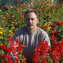 ���� �����, ������, 64 ���� - ��������� 13 ��� 2012 � ������ ���� ����������