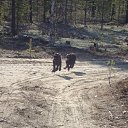 ���� ����, ����� - ��������� 3 ���� 2013 � ������ �� � ��� ������