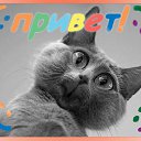 ���� ���������, ������, 71 ��� - ��������� 2 ������ 2012 � ������ �������