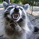  -, , 42  -  10  2013    