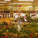 ���� Dmitriy, �����������, 36 ��� - ��������� 22 ���� 2013 � ������ ��������, ��������, �������, ���-�����