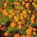 ���� ������, ����������� - ��������� 16 �������� 2012