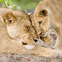 ���� ������, �������, 29 ��� - ��������� 24 ������� 2010 � ������ ���� ����