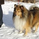 ���� ����, ������, 58 ��� - ��������� 17 ������� 2012 � ������ ���� ����������