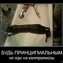   ( -        ,  -  25  2011   