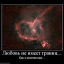   ...),  , 33  -  29  2010    ...)