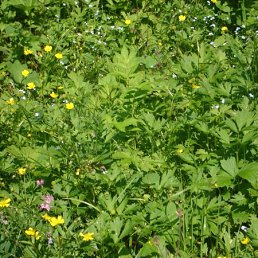 ��������..