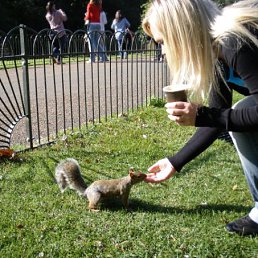 ���� ����, �����, 49 ��� - ��������� 23 ������� 2013