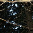 ���� �����, ������, 47 ��� - ��������� 6 ������� 2010 � ������ �������