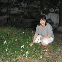 ���� ������ ������� �� ������� ���� ����������