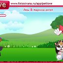  , , 40  -  14  2010   PetLove